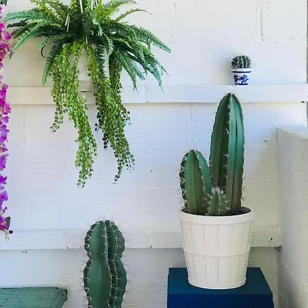 Сasa de vacaciones Casa De La Playa